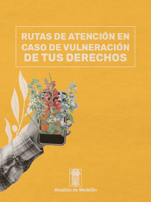 Accede a las rutas de atención en caso de vulneración de tus derechos